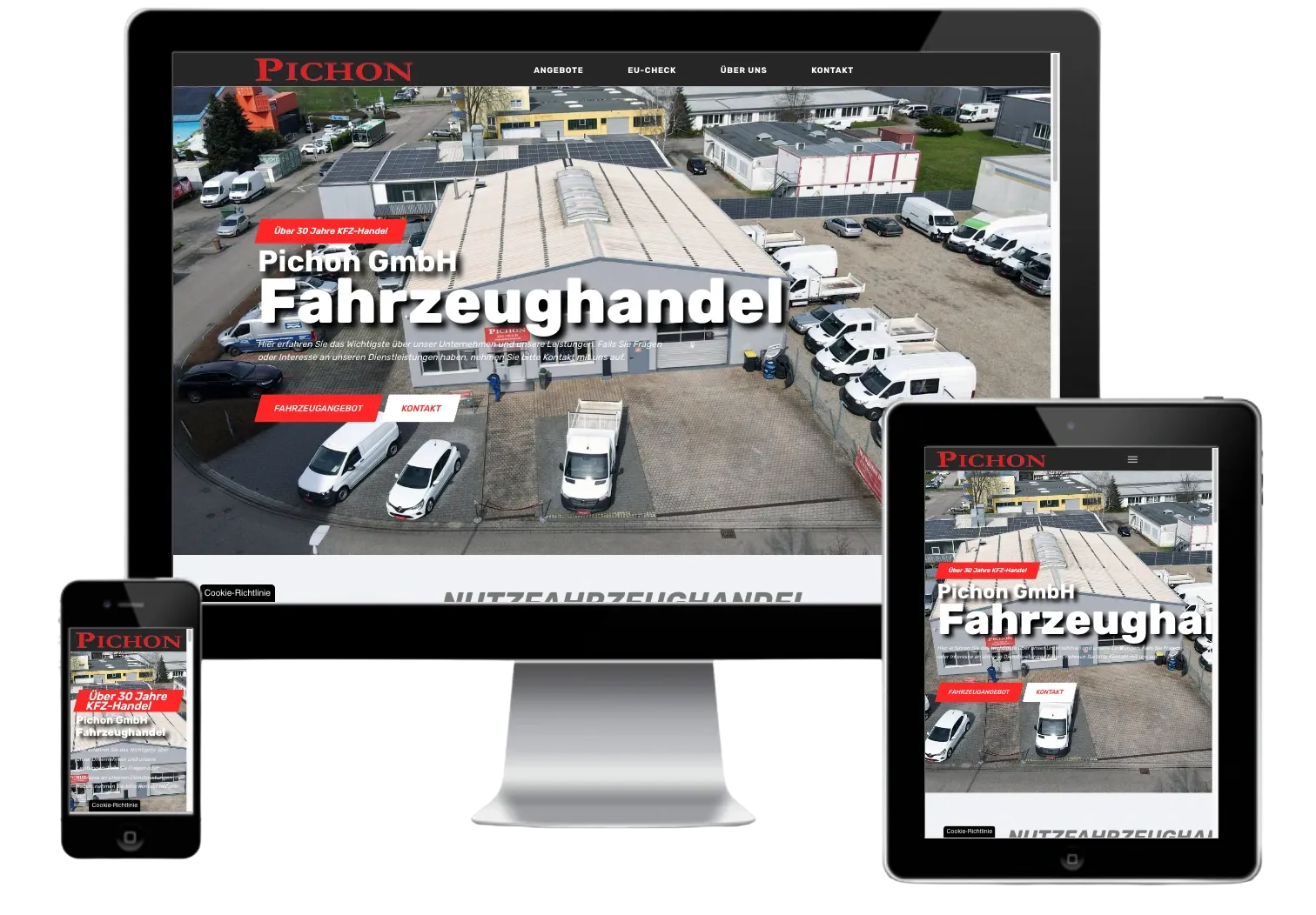 Website for Pichon GmbH